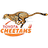 Toyota Cheetahs XV